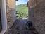Immagine 12