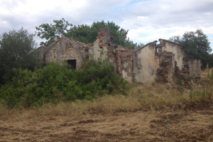 Vendita terreno edificabile