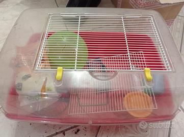 GABBIE PER CRICETI CON ACCESSORI