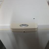 congelatore 300 kg usato 