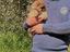 Immagine 3