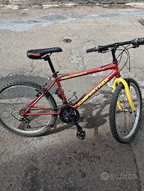 MTB 24
