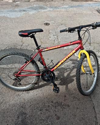 MTB 24