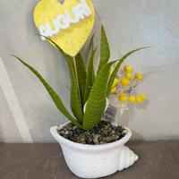 piantine festa della donna