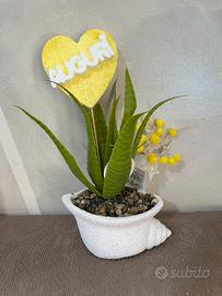 piantine festa della donna