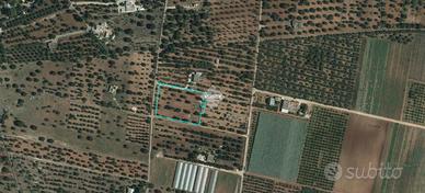 TER. AGRICOLO A CAROVIGNO