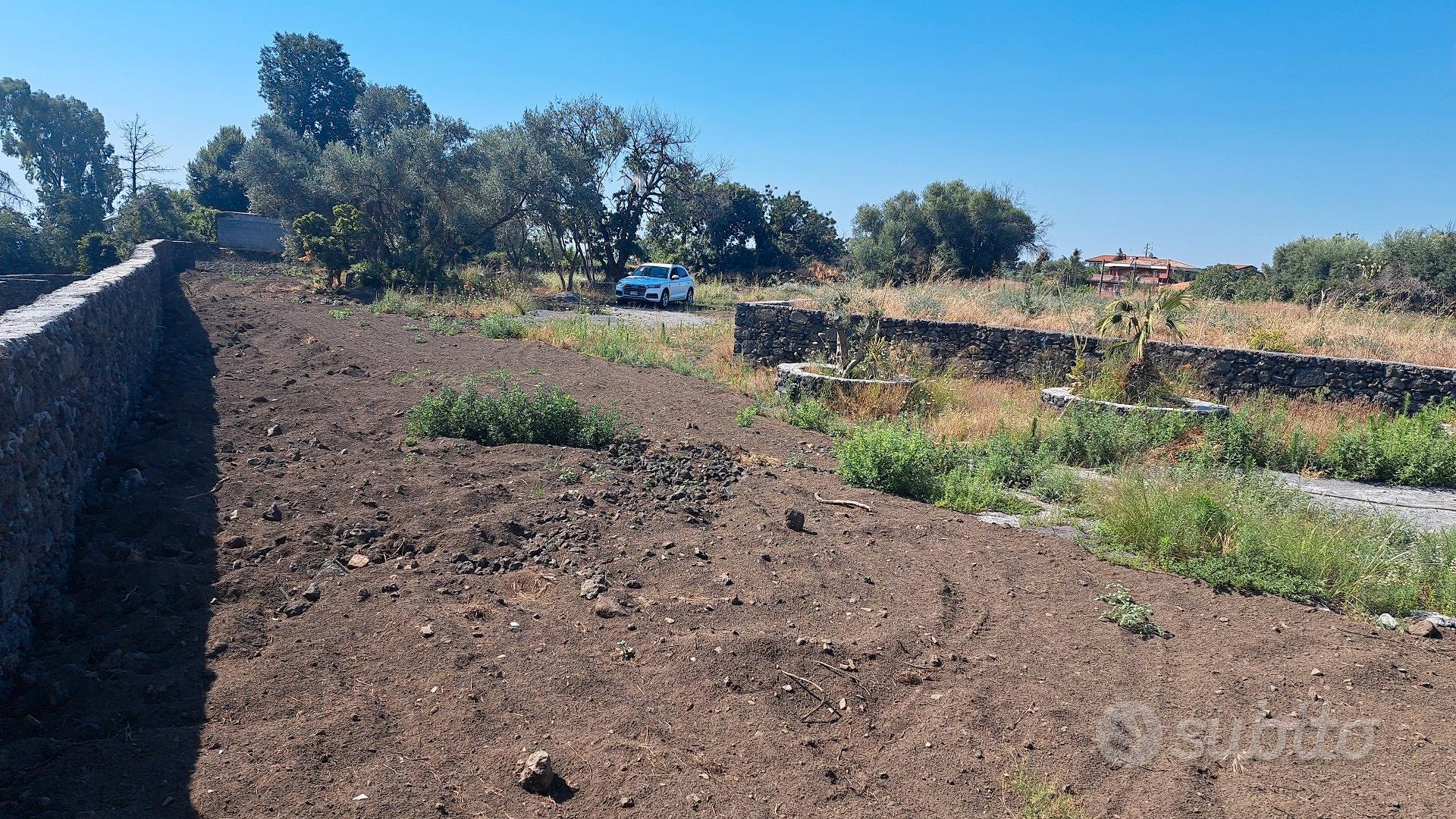 terreno agricolo pianeggiante - Vista 2