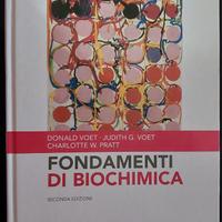 Fondamenti di Biochimica, Voet