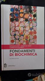 Fondamenti di Biochimica, Voet