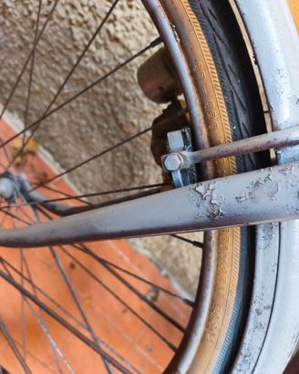 bicicletta