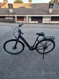 bicicletta elettrica