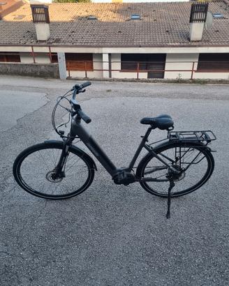 bicicletta elettrica
