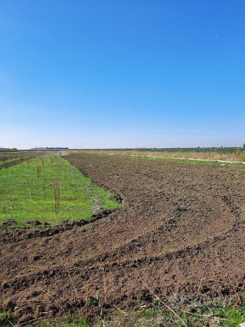 Terreno tra Barletta e Margherita su strada princ - Vista 3