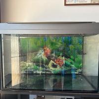 acquario per pesci 57x39x30 cm con luce integrata
