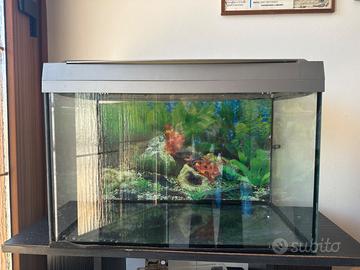 acquario per pesci 57x39x30 cm con luce integrata
