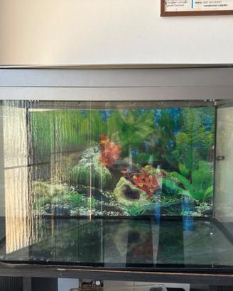 acquario per pesci 57x39x30 cm con luce integrata