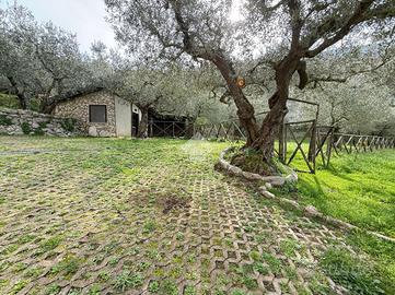 CASA INDIPENDENTE A SANT'AGATA DE' GOTI
