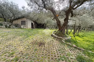 CASA INDIPENDENTE A SANT'AGATA DE' GOTI