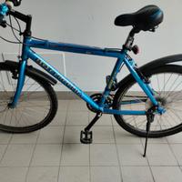 Bicicletta  Mountain bike Bottecchia