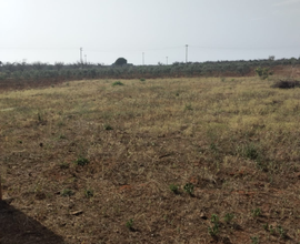 Terreno agricolo