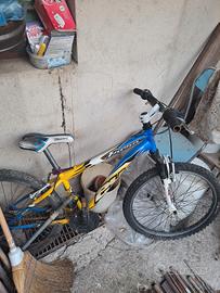 bicicletta ragazzo/a