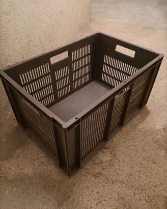 contenitori plastica