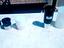 Immagine 3