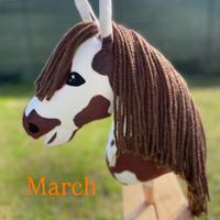 Hobby horse con accessori