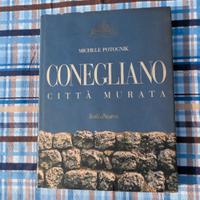 Michele Potocnik- Conegliano città murata