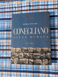 Michele Potocnik- Conegliano città murata