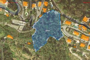 Alassio terreno agricolo per azienda vista mare