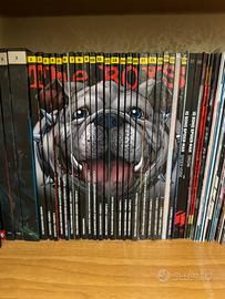 Collezione The Boys fumetti