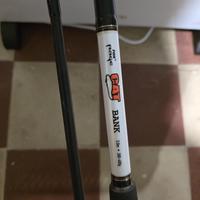 combo siluro storione 