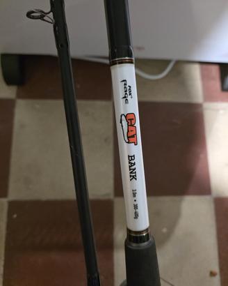 combo siluro storione 