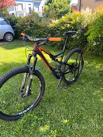 Bici mtb specialized L