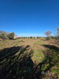 Terreno bivio foresta con casa rurale