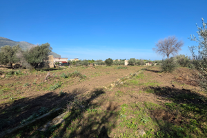 Terreno bivio foresta con casa rurale