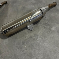 Coppia Terminali scarico originali Yamaha TDM 900