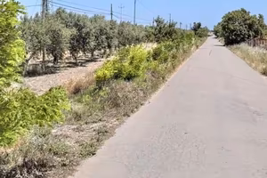 Terreni agricoli località Via Castelluccio Foggia