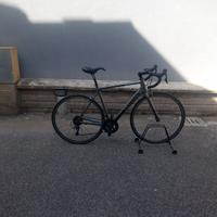Canyon Endurace F10+ruote Fulcrum Zero