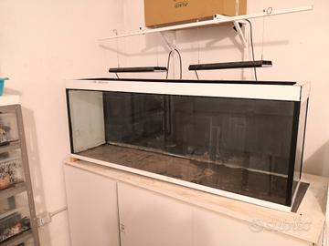Acquario 300 litri