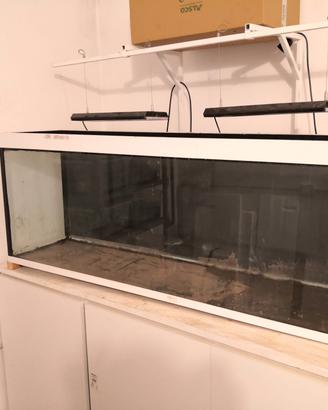 Acquario 300 litri