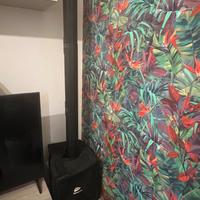 2 casse potenti Bluetooth