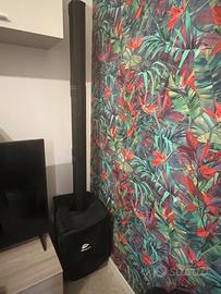 2 casse potenti Bluetooth