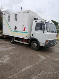 camion N 4 cavalli   più  selleria