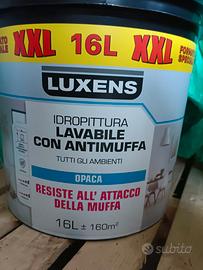 Vernice antimuffa lavabile