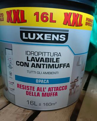 Vernice antimuffa lavabile