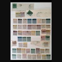 ASI Modena selezione Nuovi e Usati