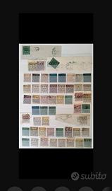 ASI Modena selezione Nuovi e Usati