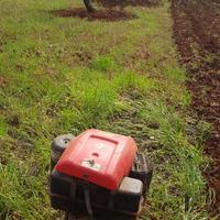 Giardiniere per info in privato